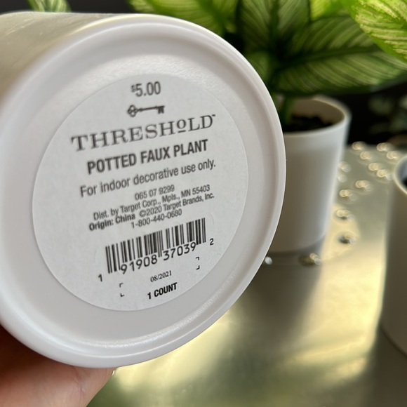 Threshold Potted Faux Plant 3 in the box 7" x 11" Artificial Variegated Leaf - Picture 4 of 4